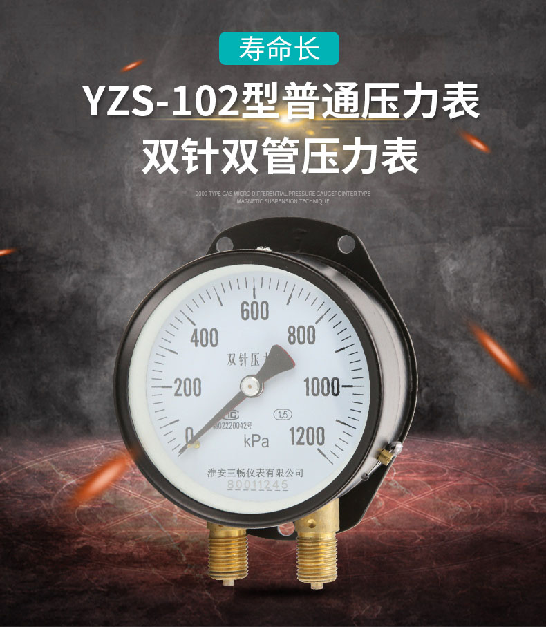 YZS-102型双针压力表